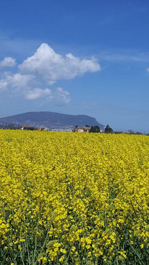 Villetta Del Conero Porto Recanati Zewnętrze zdjęcie