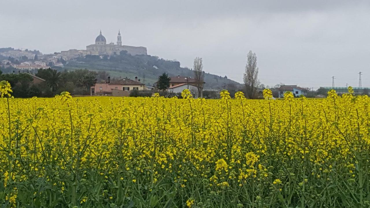 Villetta Del Conero Porto Recanati Zewnętrze zdjęcie